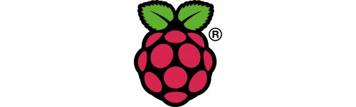 VARIOS RASPBERRY PI